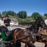 Leading the horse carriage - Puszta Olympics